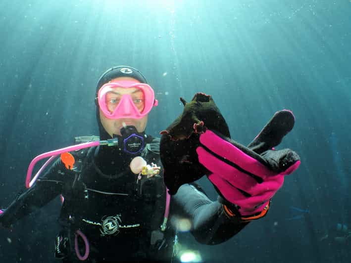 SSI Try Scuba Diving in the sea - What Makes This Experience Special?