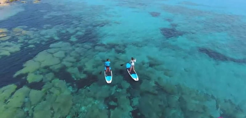 Stan Up Paddle for beginners Tour S'Illot/Sa Coma - Price and Logistics: What You Need to Know