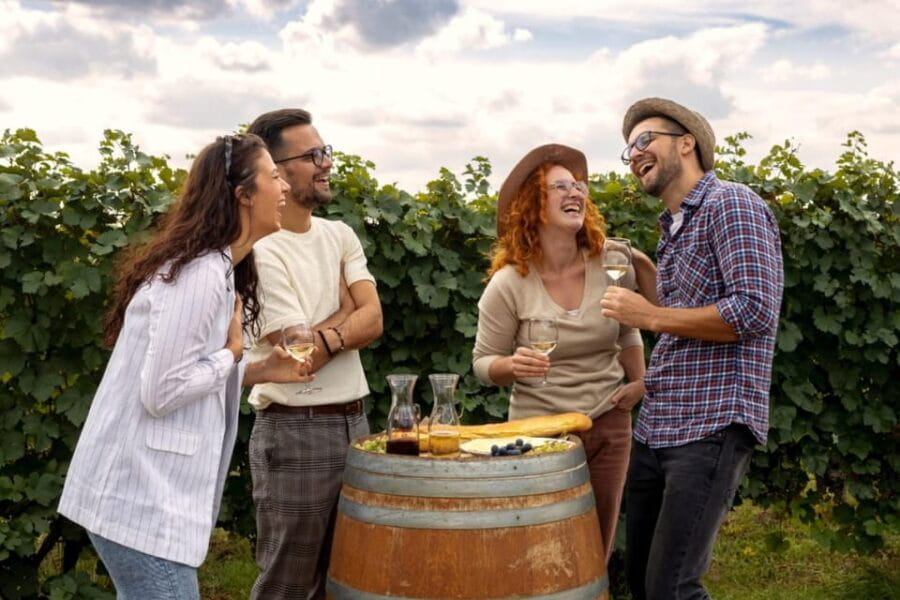 Stancija Collis: A Winery adventure in Rovinj - What’s Included and Why It Matters