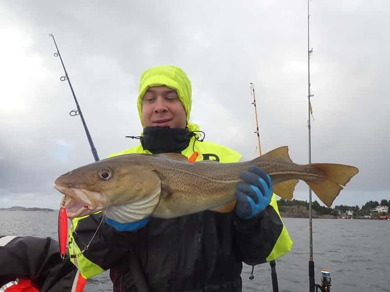 Stavanger: Lysefjord Cruise, Fishing, and Dinner Tour - Why This Tour Offers Great Value