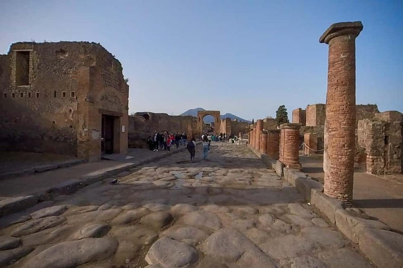 Step Back in Time: Pompeii Guided Tour with Naples Pick up - Price and Logistics: Great Value for a Focused Experience
