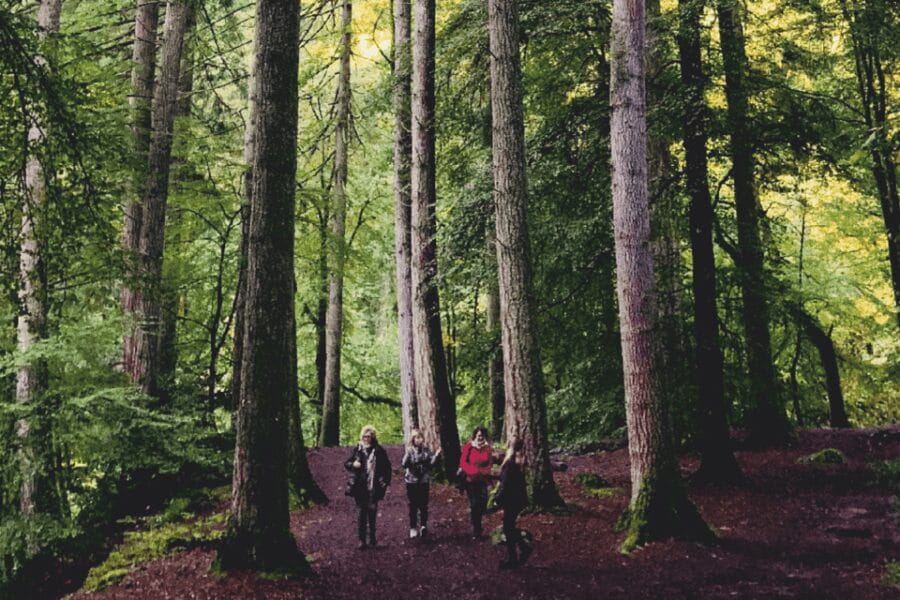 Stirling, Highlands & Destilería desde Edimburgo en español. - Exploring Scotland’s Natural Beauty and Historic Landmarks