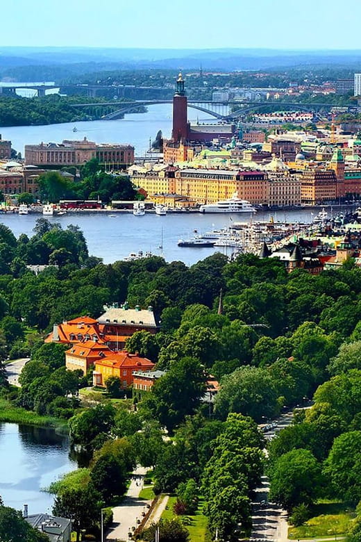Stockholm VIP full day city tour by limousine in Stockholm - Who Is This Tour Best For?