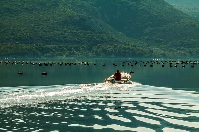 Ston Oyster & Wine Tasting Private Tour From Dubrovnik - Is It Worth the Price?