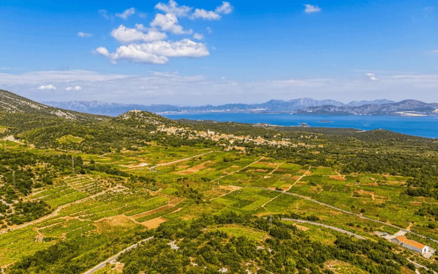 Ston, Peljesac and Korcula Winetasting Tour - The Sum Up