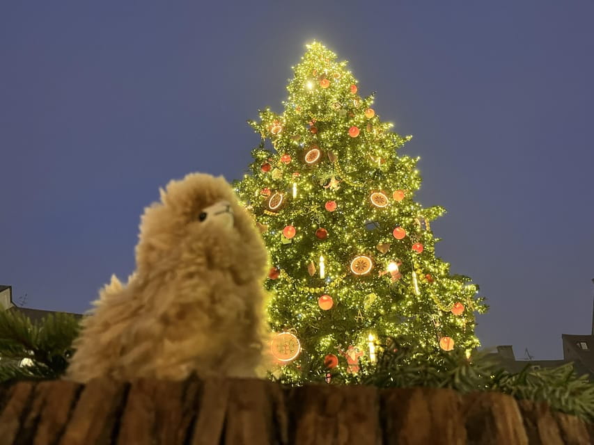 Strasbourg: Christmas Walking Tour with Mulled Wine - Price & Value: Is It Worth $330?