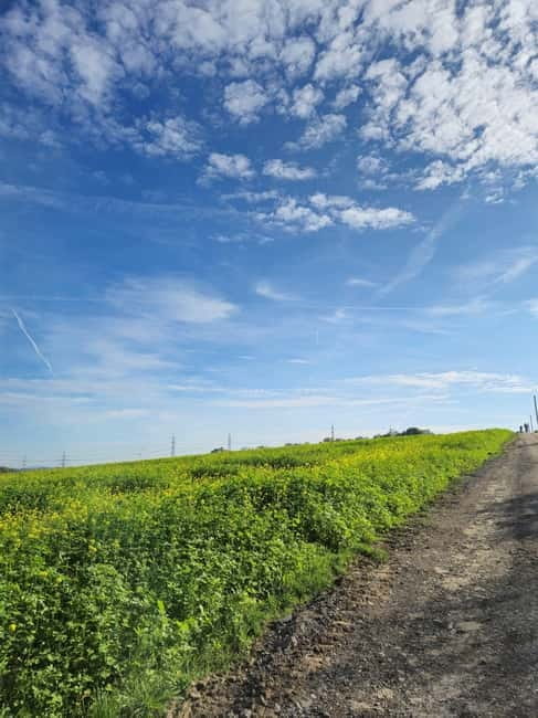 Stuttgart: Boßeltour with guide - Who This Tour Is Best For