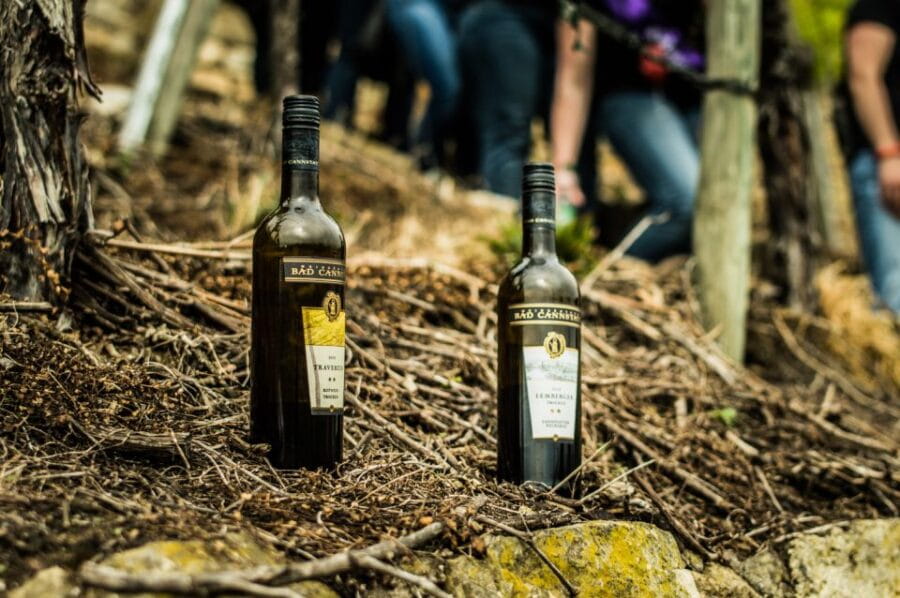 Stuttgart: Guided Vineyards Tour - The Logistics: Price, Duration, and Meeting Points