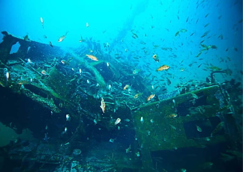 Sun-Kissed Shores: Full-Day Blue Lagoon with Food Delights - The Underwater Wonder at Neujam