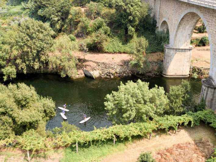 SUP TOUR - Explore Porto´s surroundings on a SUP Board - Exploring the Tributaries and Hidden Coves