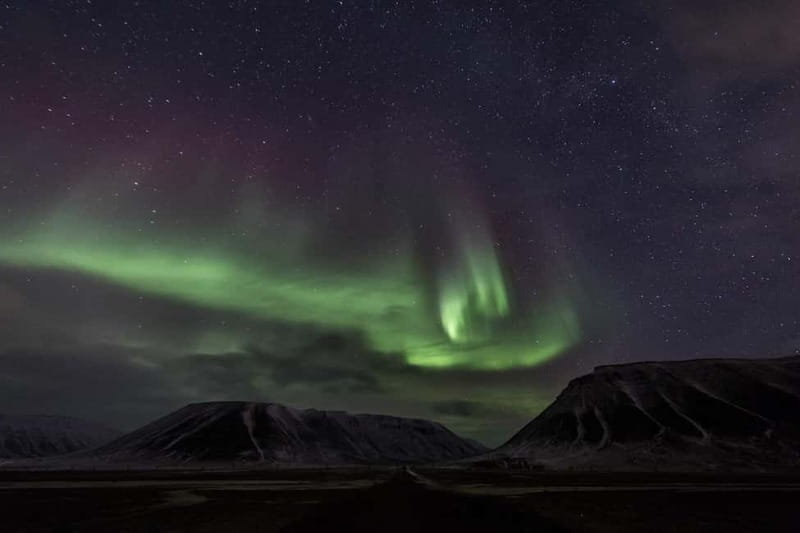 Svalbard: Northern Lights Photography Tour with local expert - Price and Value
