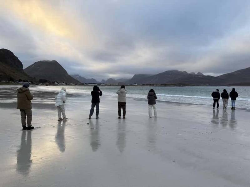 Svolvær: Lofoten Islands Full-Day Guided Tour - The Highlights: Natural Beauty and Cultural Insights
