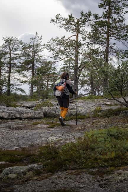 Swedish Lapland: Summer Hike and Midnight Sun Dinner - Exploring Swedish Lapland: What to Expect on the Hike