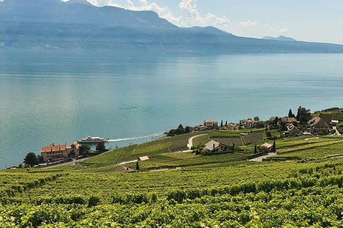 Swiss Wine Tasting at Lavaux Vineyards: Private Trip from Geneva - Visiting Local Wineries and Cellars
