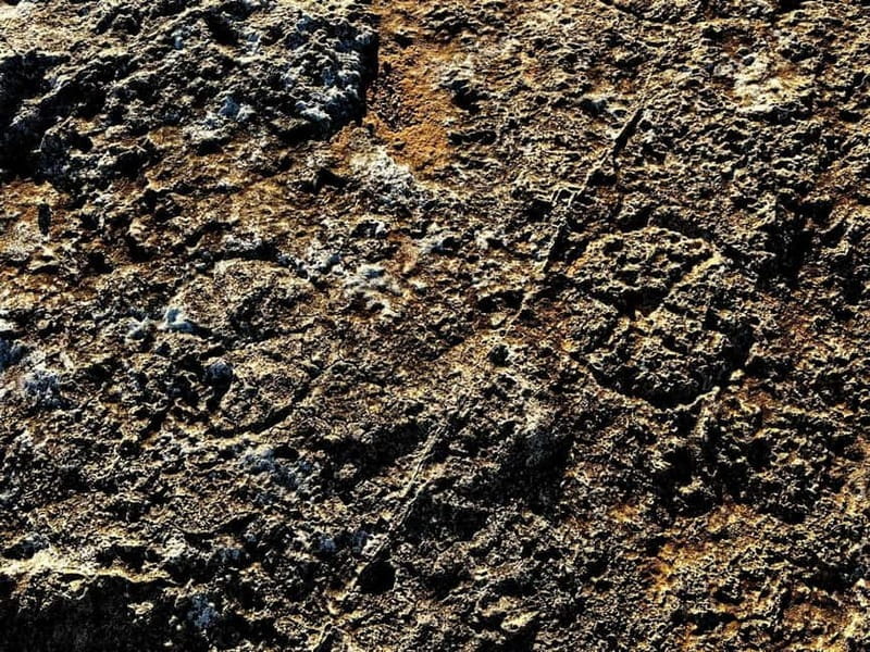 Tabaccara Promontory Tour - Who Should Consider This Experience?