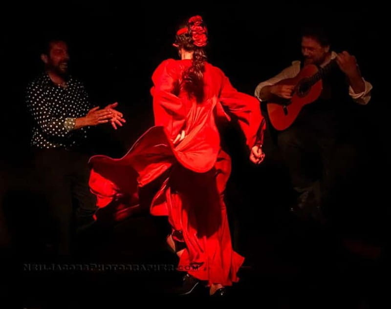 Tablao Flamenco La Exclusiva in Seville and Tinto de Verano - Key Points / Takeaways from La Exclusiva Flamenco Experience