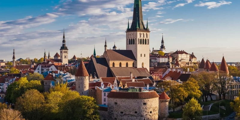 Tallinn: Museums, Public Transport, and More City Card - A Closer Look at the Attractions and Sights