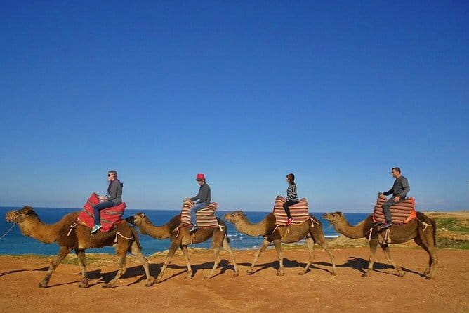 Tangier in Morocco private tour from Seville for up to 8 persons - The Food and Cultural Experience