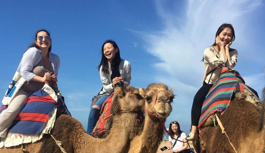 Tangier Private Half-Day Tour + Camel Ride + Add-on: Lunch - The Itinerary: What You’ll See and Experience in Detail