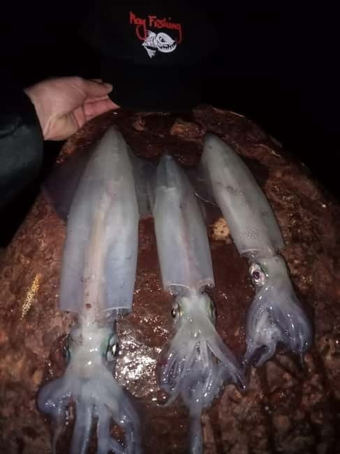 TAORMINA:CATAMARAN FISHING TRIP WITH ROY FISHING - Price and Logistics: Balancing Cost and Quality