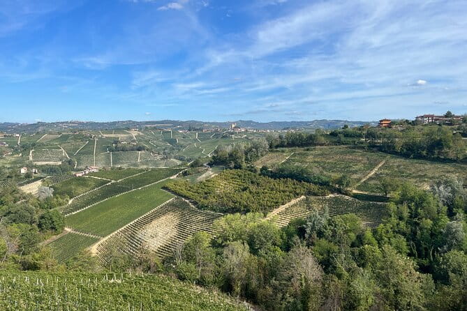 Tasting of Classic Method Sparkling Wines - What to Expect: A Guided Tasting of Time and Technique