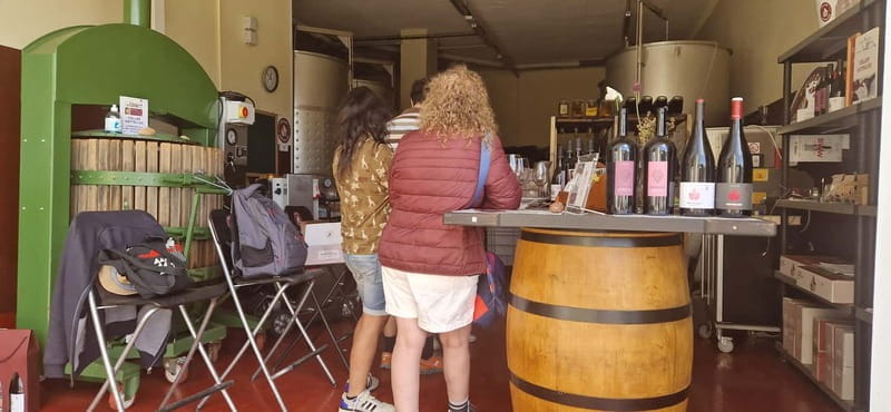 tasting wines in the vineyards with hotel pickup hotel - Who Should Consider This Experience