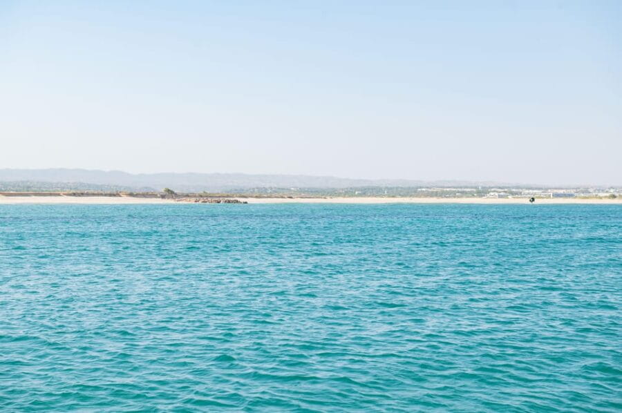 Tavira: Passeio Full Day - The Dining Experience: Fresh, Local, and Relaxed