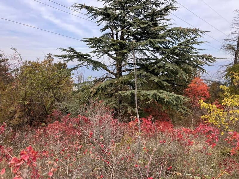 Tbilisi: Delightful Trail over the City - An In-Depth Look at the Trail and Its Attractions