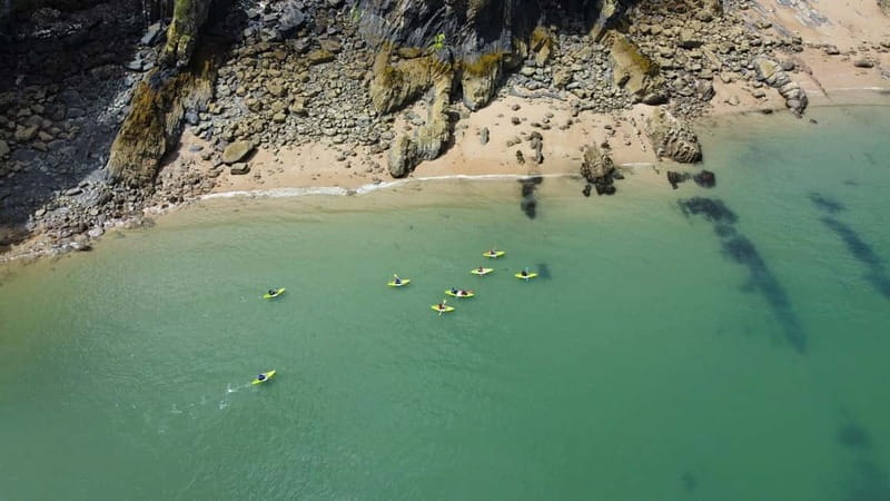 Tenby: Guided Kayaking Adventure - Why This Tour Offers Real Value for Your Money