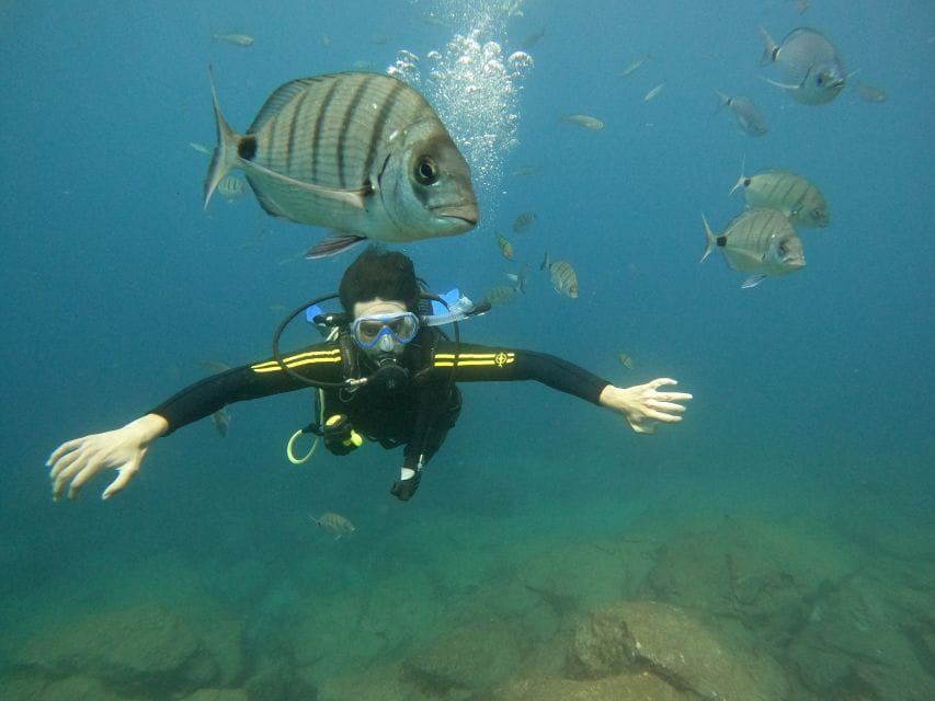 Tenerife: Beginners Scuba Dive Experience in Turtle Area - Who This Tour Is For