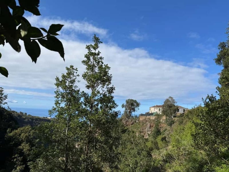 Tenerife: Canary History and Color Potatoes - Guides and Personal Touch