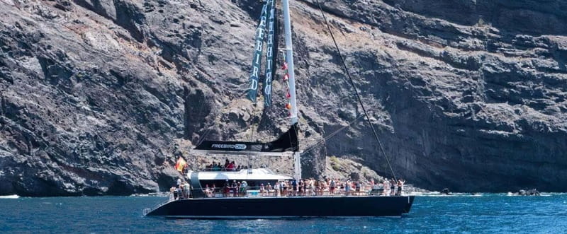 Tenerife: Catamaran Cruise with an Open Bar - Who this cruise suits best