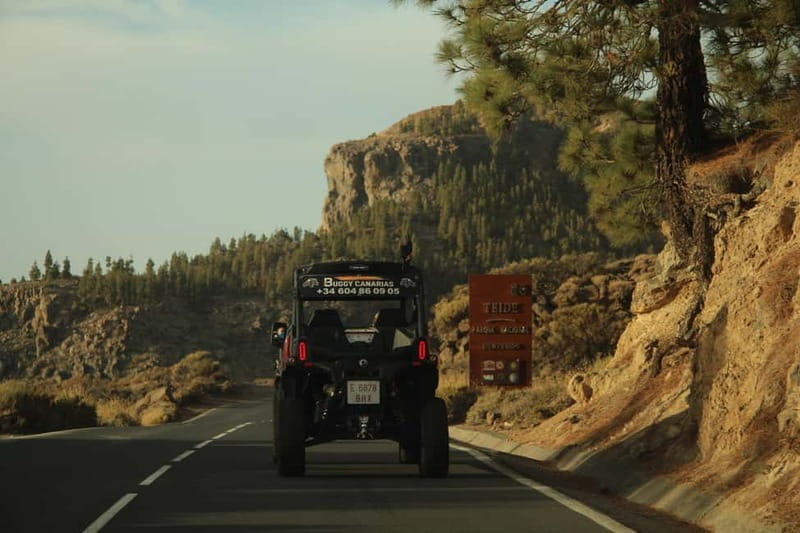 Tenerife: Family 4seats Buggy Tour of Teide - Price, Logistics, and Overall Value