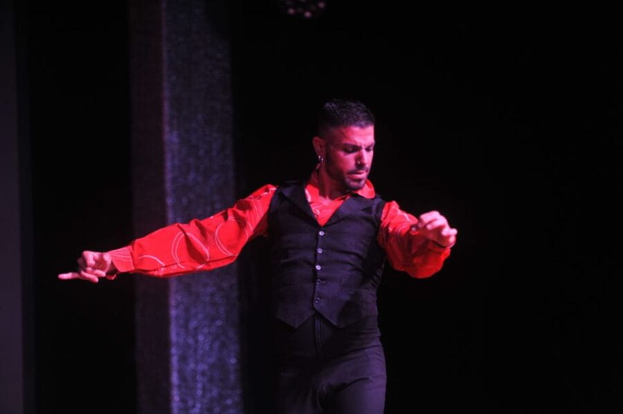 Tenerife: Flamenco Performance at Teatro Coliseo - The Flamenco Show: What Youll See and Hear