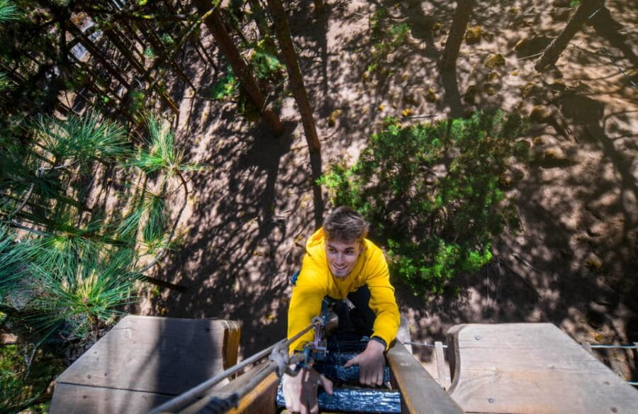 Tenerife: Forestal Park Tenerife Entry Ticket - Exploring Forestal Park Tenerife: What to Expect