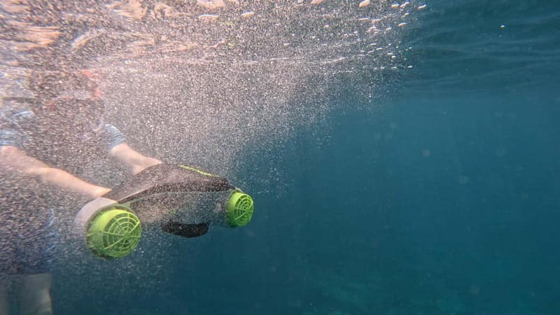 Tenerife: kayak tour with animals and underwater scooters - The Real Value: Why This Tour Is Worth Considering