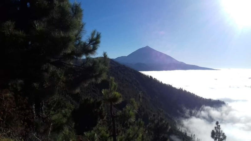 Tenerife: mindfulness experience for well-being - Discovering the Mindfulness Experience in Tenerife