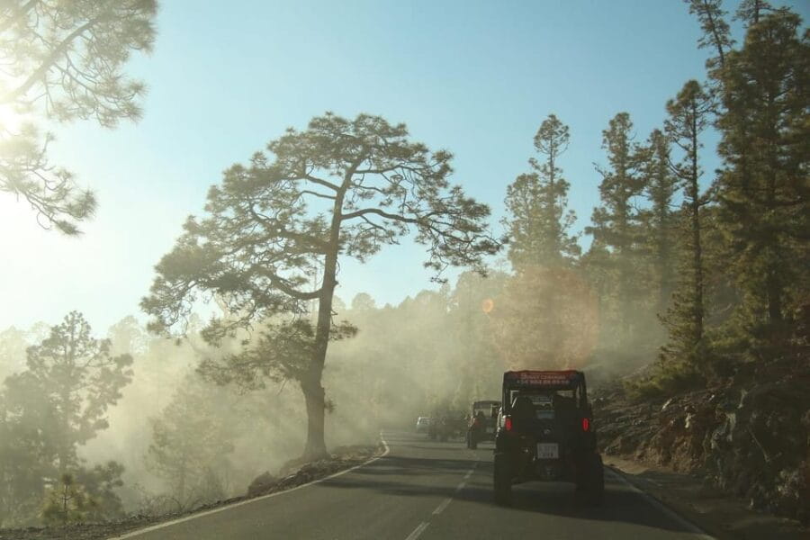 Tenerife: Morning or Sunset Teide Buggy Tour - Who Will Love This Tour