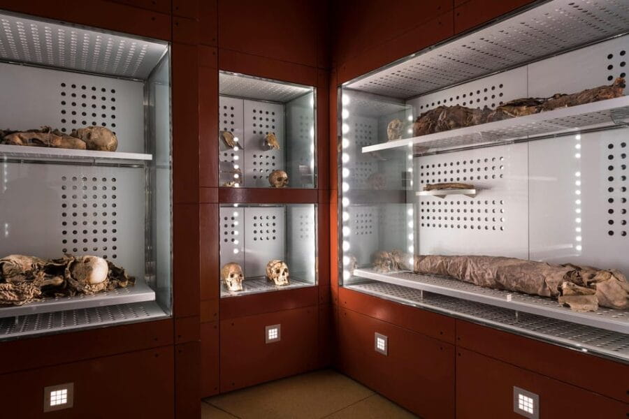 Tenerife: MUNA Museum Admission Ticket and Teide Legend Tour - Practicalities and Logistics