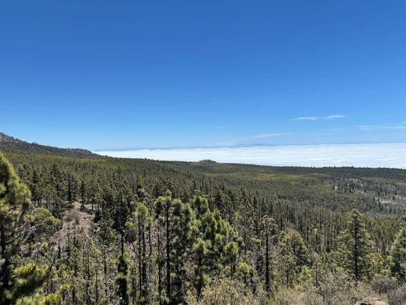 Tenerife: premium e-bike ride at Vilaflor- Lunar Landscape - Detailed Itinerary Breakdown