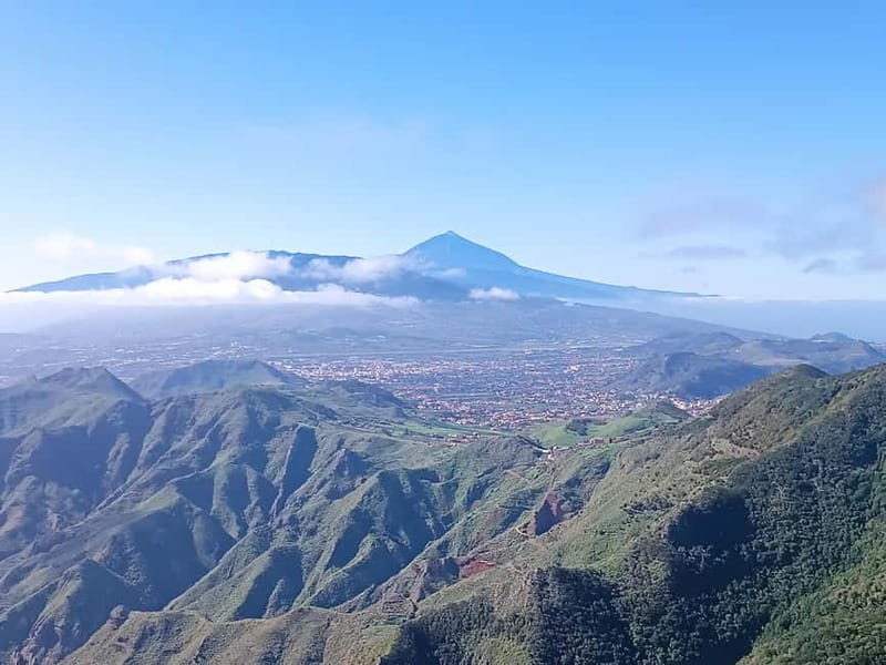 Tenerife-Puerto Cruz: Avatar Hiking, Bajamar and Cocktail - A Deep Dive into Tenerife’s Nature and Culture