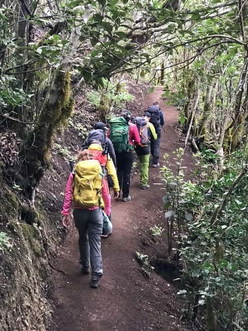 Tenerife: Senderismo Anaga, Bosque Mágico, Reserva Biosfera - Highlights of the UNESCO Biosphere Experience