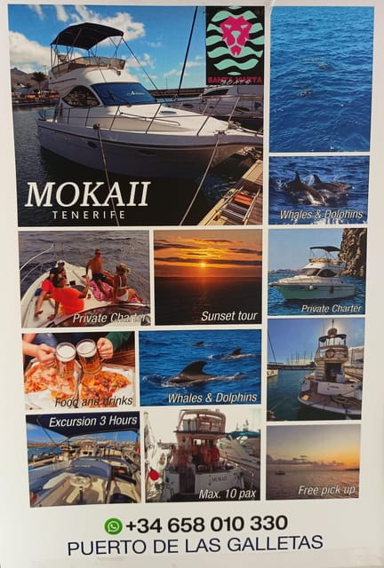 Tenerife south: safari with luxury boat , animals encounters - Who Will Love This Experience?