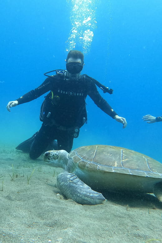 Tenerife south: Scuba Dive for beginners in Adeje - Why Choose Tenerife for Your First Underwater Experience?