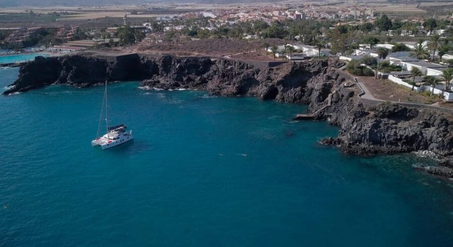 Tenerife: Whale and Dolphin Watching Boat Tour - Who Should Consider This Tour?