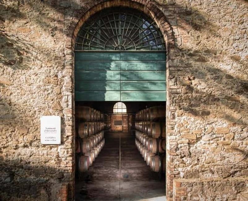 Tenimenti d'Alessandro - Visit the winery and wine tasting - Who Will Really Enjoy This?