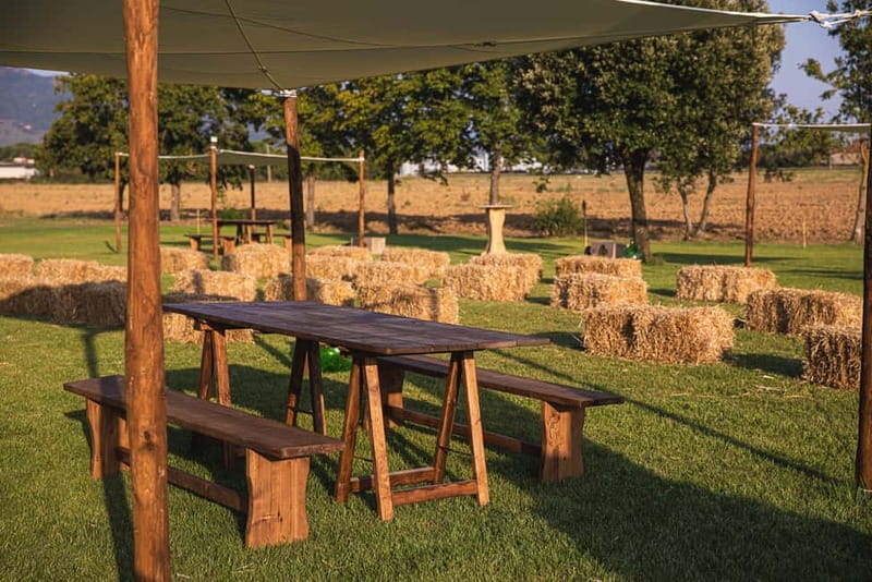 Tenute di Fraternita - Wine tasting in the Arezzo countryside - Entering the World of Organic Tuscan Wines at Tenute di Fraternita