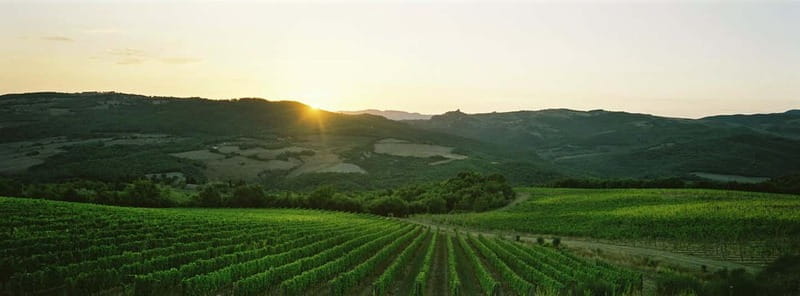Tenute Silvio Nardi: wine tour of 30 years of Brunello - Exploring the Tuscany Wine Heritage at Tenute Silvio Nardi