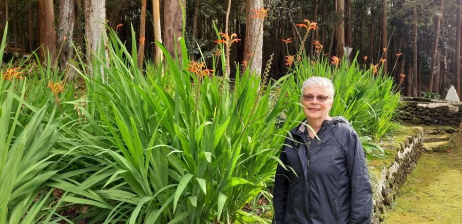 Terceira Island: Full Day Van Tour - Why This Tour Works for You