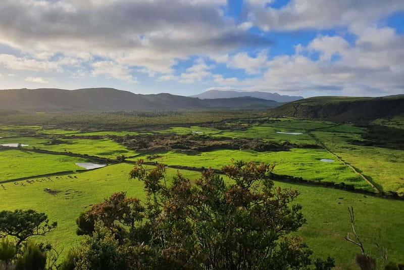 Terceira Island: Half-Day Hiking with Cheese Tasting - The Cheese Tasting: A Delicious Finish